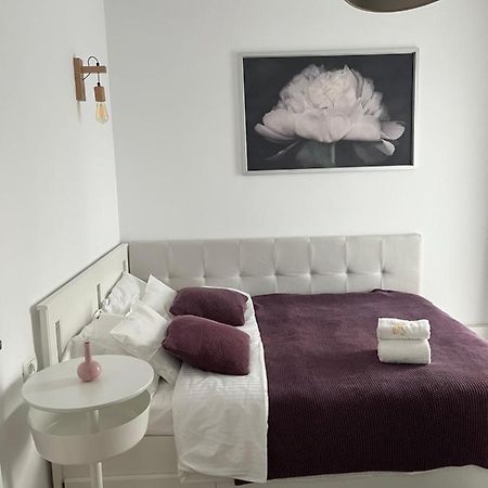 Alma Apartments Suceava Exterior foto